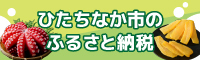 ひたちなか市のふるさと納税